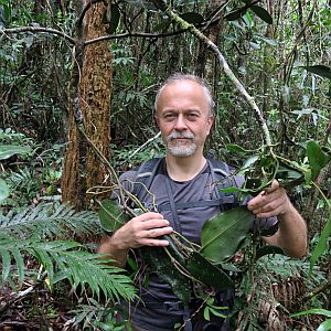 prof. dr hab. Dariusz Szlachetko
