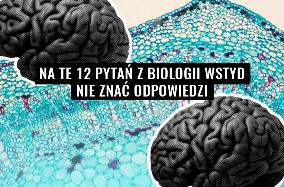 quiz 2