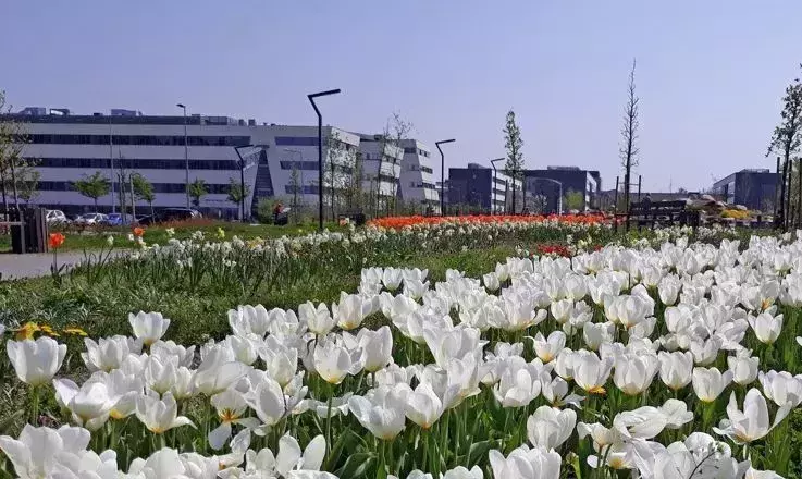 Katedra Taksonomii Roślin i Ochrony Przyrody
