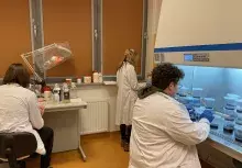 Praca w laboratorium hodowli roślin