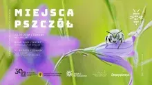 Plakat Miejsca Pszczół