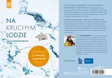 Na kruchym lodzie