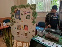 Owadzi konkurs piekności