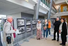 Wystawa zdjęć poświęcona Pani Profesor Piotrowskiej