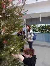 Studenci ubierają choinkę
