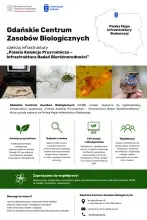 Mapa drogowa