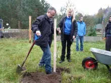 Dziekan Wydziału posadził odmianę gruszy - "Dziekankę Lipcową",