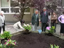 Upiększanie patio w budynku przy ul. Kładki 24 w Gdańsku
