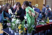 VII Bałtycki Festiwal Nauki