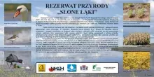 Rezerwat "Słone Łąki"