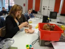 Warsztaty w Katedrze Fizjologii Zwierząt