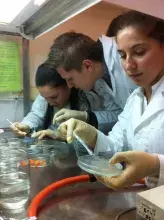 Współpraca edukacyjna Wydziału Biologii UG z II LO w Elblągu