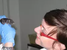 dr Marcelina Malinowska