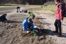 "Leśny Ogród Botaniczny" w Marszewie