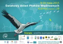 Światowy Dzień Ptaków Wędrownych – Kuźnica 2015