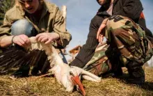Wydział Biologii UG współpracuje z "Ostoją"