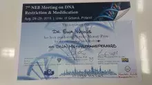NEB MEETING 2015
