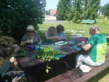 Upalny Piknik Biologów
