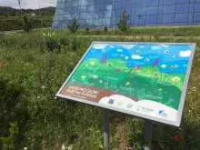 "Ogród przyjazny"