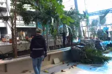 Wyspa Darwina w nowej odsłonie