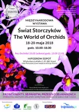 Wystawa Storczyków
