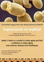 Wykład plakat