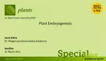 Plants