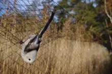 60 lat programu badawczego Akcja Bałtycka
