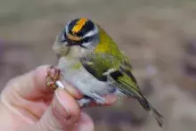 60 lat programu badawczego Akcja Bałtycka