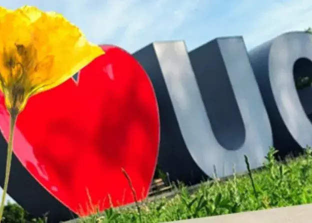 Uniwersytecka pocztówka z wakacji