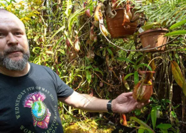 Kolekcje Narodowe rodzaju Heliamphora i rodzaju Nepenthes