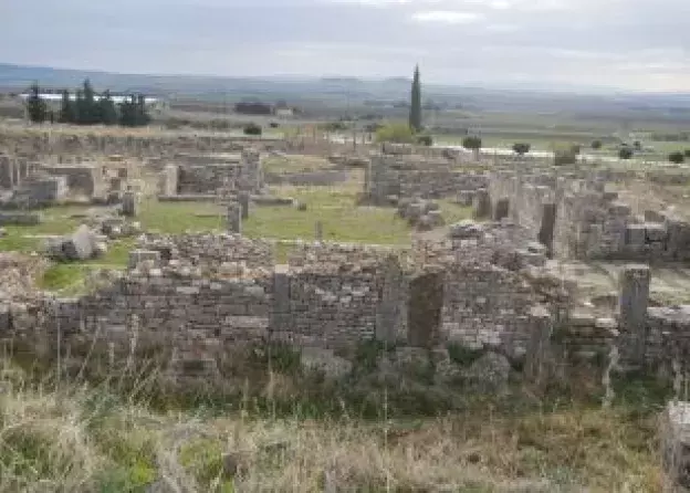 BADANIA ARCHEOBOTANICZNE W TUNEZJI