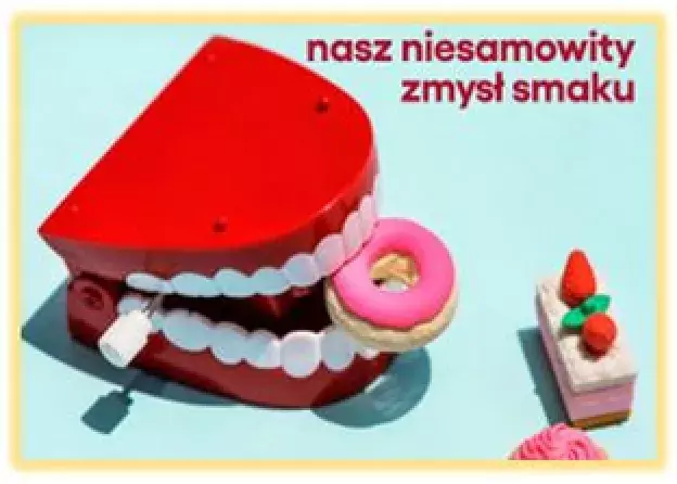 „Nasz niesamowity zmysł smaku” – spotkanie w Centrum Nauki Experyment z gościem UG, prof. Danielle…