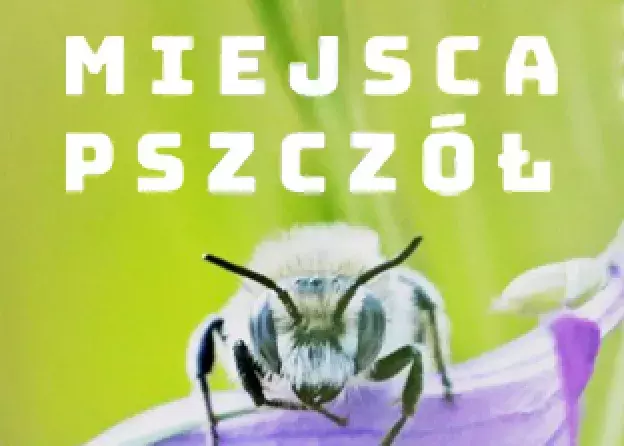 Światowy Dzień Pszczół