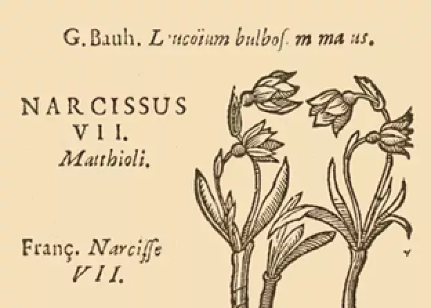 Historia Zbiorów Botanicznych