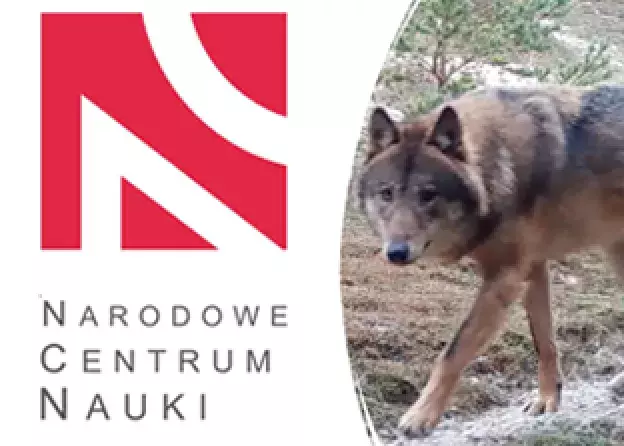 Konkurs na stanowisko Student-stypendysta w Katedrze Ekologii i Zoologii Kręgowców ramach projektu…