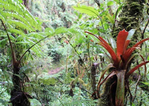 Wydział Biologii członkiem Tropical Biology Association