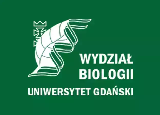 Wybory do Senatu i Kolegium Elektorów na kadencję 2024-2028