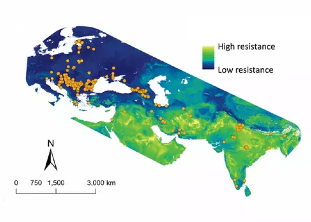Warsztaty Genetyka Krajobrazu