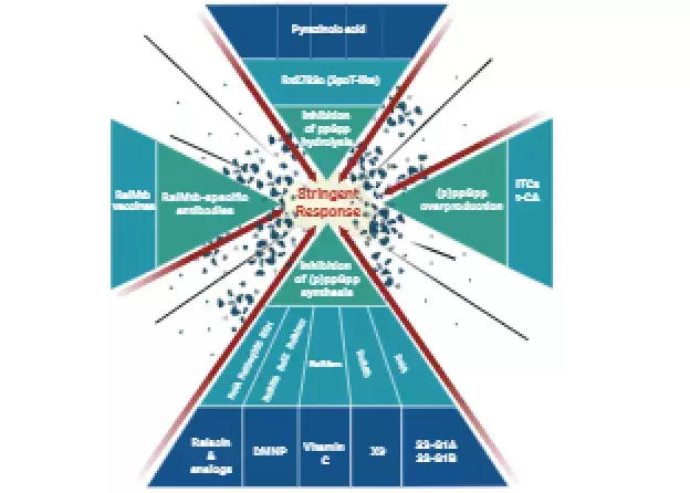 Zwalczanie chorobotwórczych bakterii w dobie narastającej oporności na tradycyjne antybiotyki – czy…