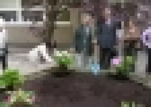 Upiększanie patio w budynku przy ul. Kładki 24 w Gdańsku