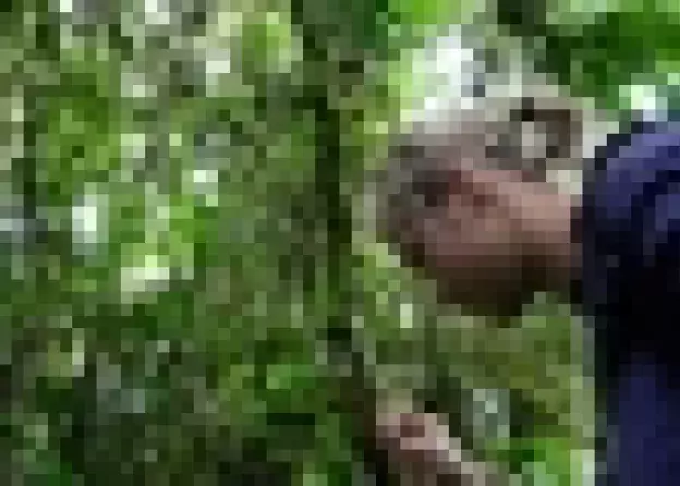 Wyprawa naukowa do Kolumbii (2010)