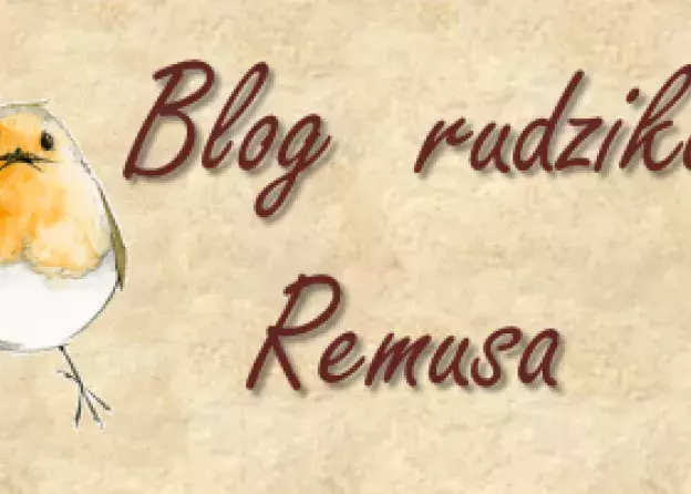 Blog rudzika Remusa