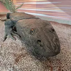 Zdjęcia z wystawy