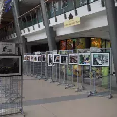 Wystaw fotografii z okazji XV-lecia Wydziału Biologii jako samodzielnej jednostki