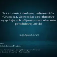 slajd tytułowy
