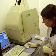 fot