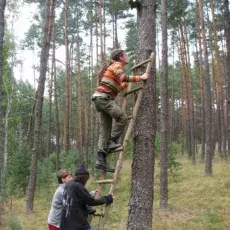zdjecie
