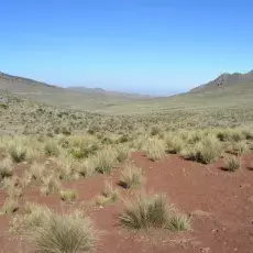 Peru - Andy ok. 4200 m n.p.m.