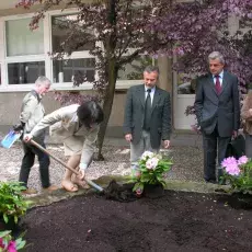 "Upiększanie" patia w budynku przy ul. Kładki 24 w Gdańsku (22.05.2009)